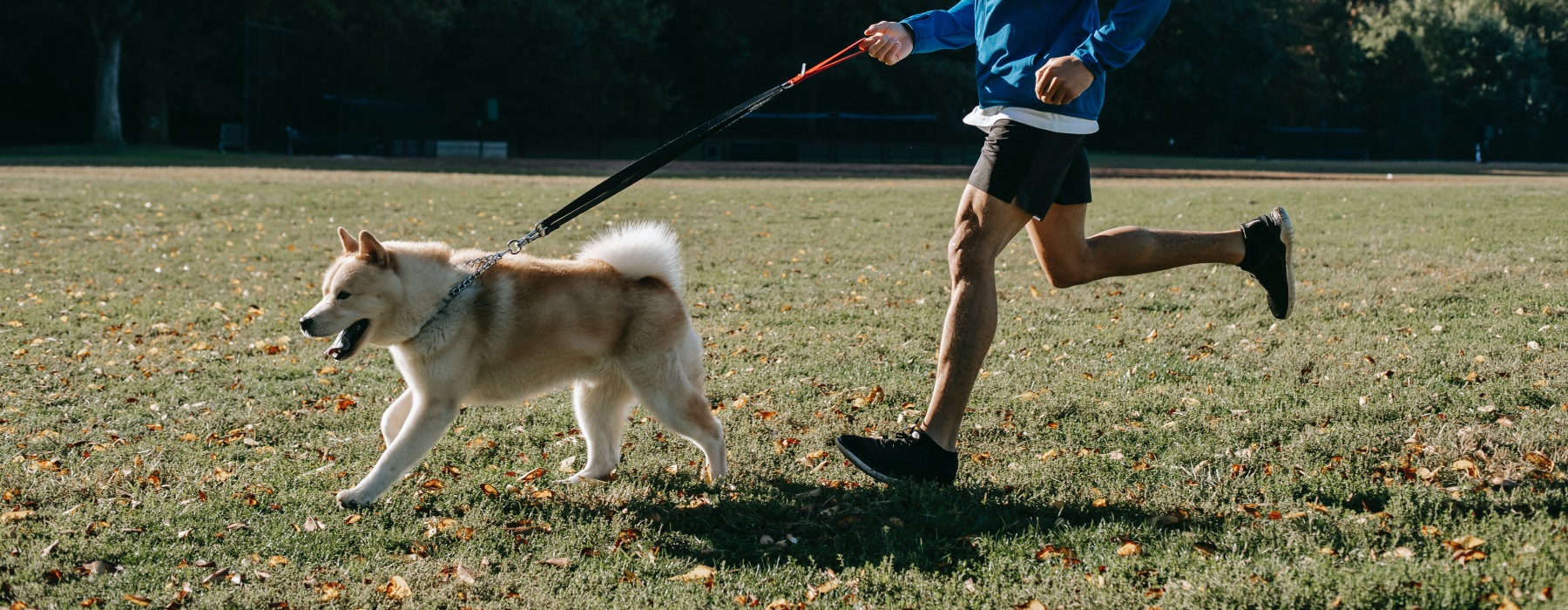 Person running with their dog